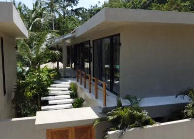 Modern exterior view of property with walkway and lush greenery