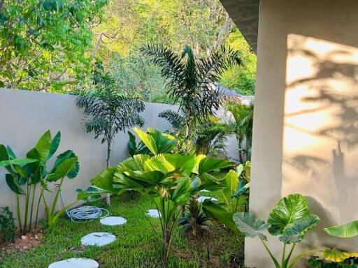 Garden area with lush green plants and stepping stones