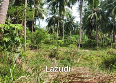 Prime Beachfront Land for Sale in Mae Nam Ko Samui