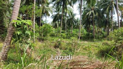 Prime Beachfront Land for Sale in Mae Nam Ko Samui