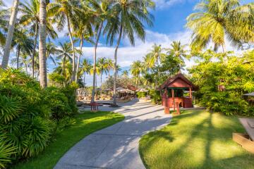 Beautiful tropical garden with palm trees