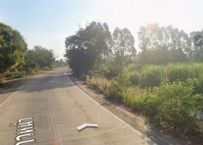 Country road with sunlight, trees, and vegetation