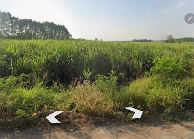 Scenic view of a large, open field with greenery