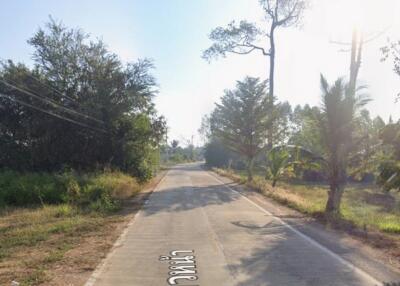 Rural road with surrounding greenery