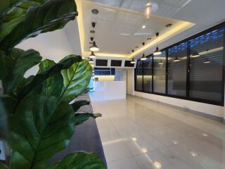 Modern office lobby with plants and seating area