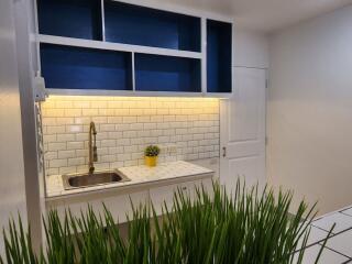 Modern kitchen with overhead cabinets, a sink, and a tiled backsplash