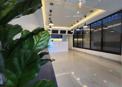 Modern spacious lobby with greenery and lighting fixtures