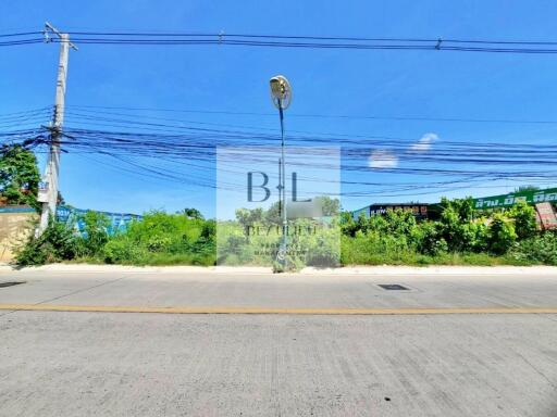 Street view with utility poles and greenery