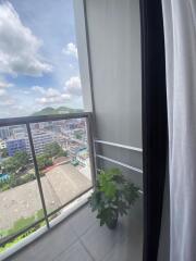 View from balcony with potted plant and cityscape