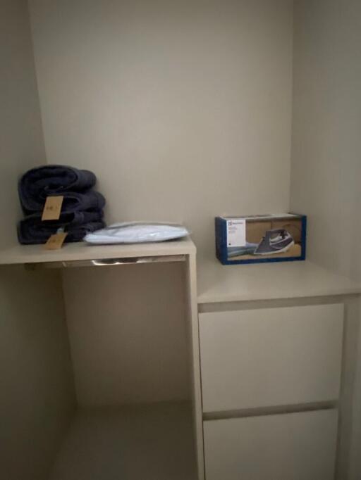 Closet with towels and iron box