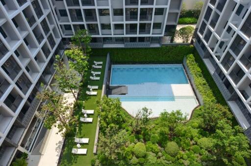 Dusit D2 - New Development: 1 Bedroom Condo