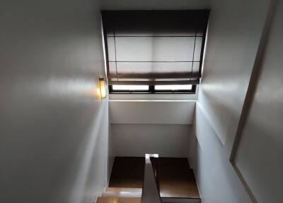 Interior staircase with wooden steps and a window with blinds