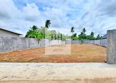 Vacant plot of land with concrete walls and tropical trees in the background