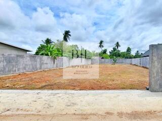 Vacant plot of land with concrete walls and tropical trees in the background