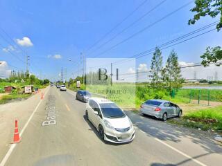 Street view with cars and greenery