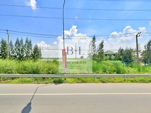 View of an outdoor area with greenery and road