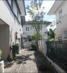 Classy Villa 2 Bedrooms In Chalong For Rent