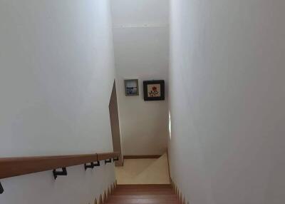 Staircase with wooden steps and wall-mounted artworks