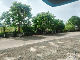 Outdoor driveway with surrounding trees