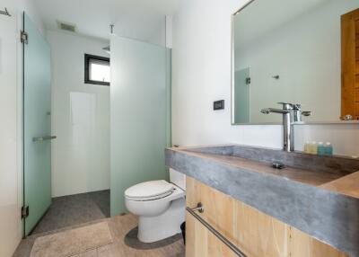 Modern bathroom with glass shower, toilet, and sink with wooden cabinet