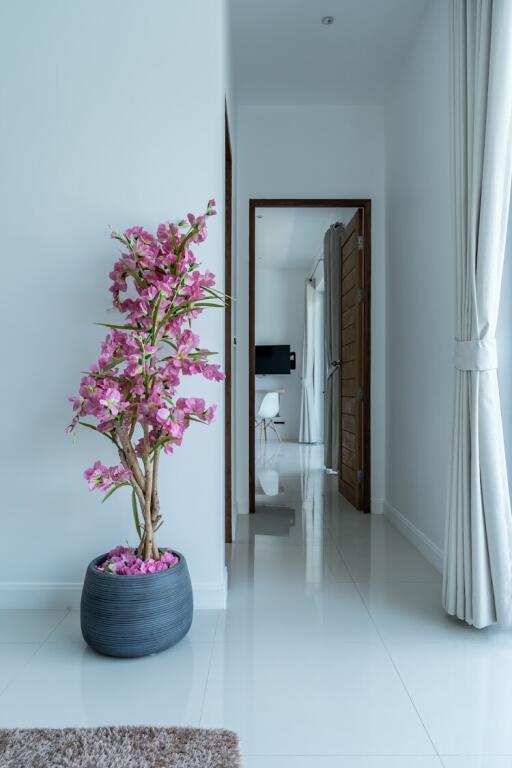 Well-lit hallway with decorative plant