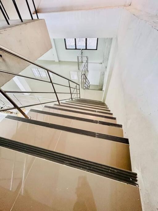 Staircase with glass railing in modern building