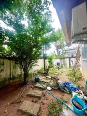 Backyard with lush greenery and outdoor equipment