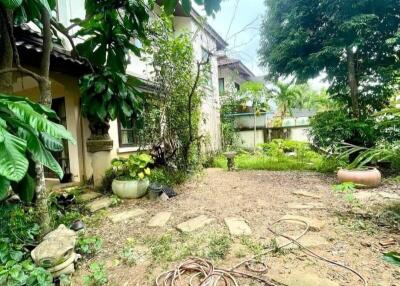 Spacious garden area with lush greenery