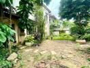 Spacious garden area with lush greenery