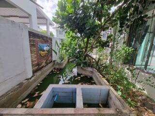 Outdoor garden area with water feature and plants