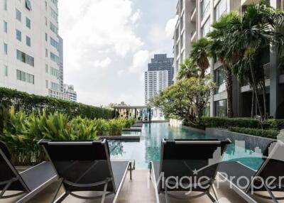 2 Bedroom Condo For Rent in Quattro By Sansiri, Watthana, Bangkok