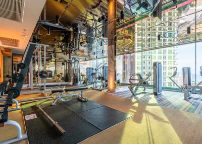 Luxurious high-rise gym with modern equipment and city views