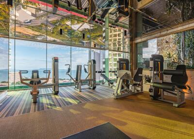 Modern gym with a view