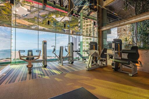 Modern gym with a view