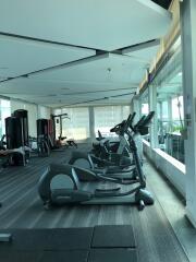 Spacious and well-equipped gym with modern exercise machines