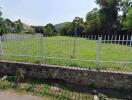 Spacious green yard with surrounding fence