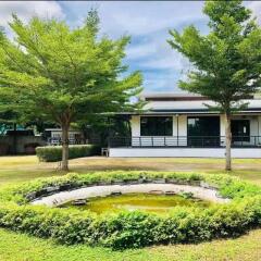 Front yard with garden and building in the background