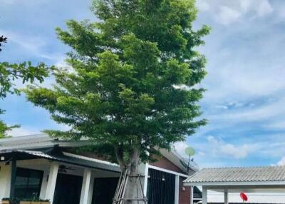 Outdoor view of a house with a tree in front and cars parked in a garage