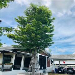 Outdoor view of a house with a tree in front and cars parked in a garage