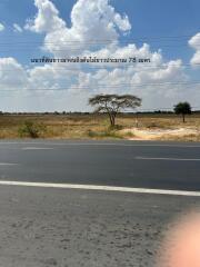 Open land area with trees and a road