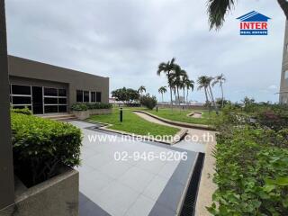 Outdoor area with lawn and palm trees, adjacent to a building