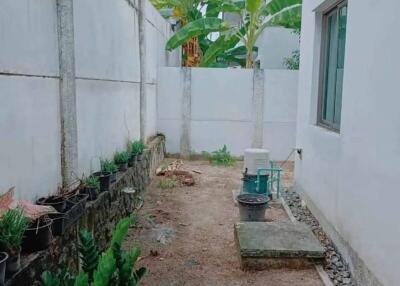 A backyard area in a residential property with a small garden space and banana trees.