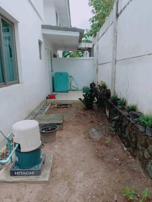 Backyard with utility area and plant pots