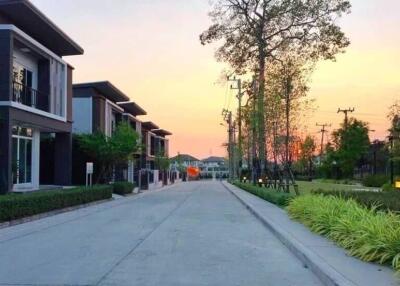 Street view of residential buildings with gardens and trees at sunset