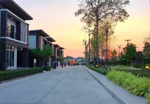 Street view of residential buildings with gardens and trees at sunset