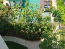 View of condominium pool area with lush greenery and surrounding buildings