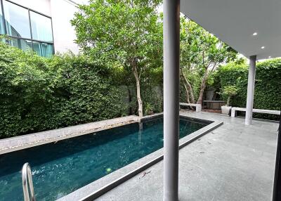 Outdoor pool area with greenery