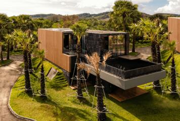 Modern house surrounded by palm trees