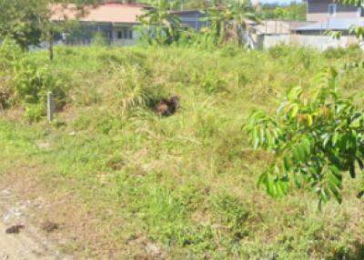 Vacant land with vegetation