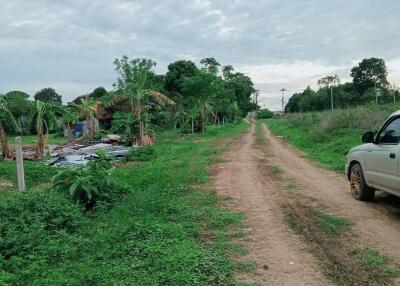 Country dirt road leading to a rural property with vegetation and trees